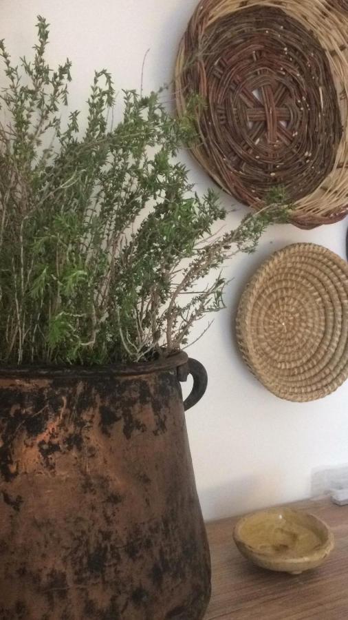 سيراكوزا Sikuli E Sikani المظهر الخارجي الصورة
